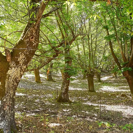 בית נופש Authentic In A Heaven Of Natural Beauty חאניה