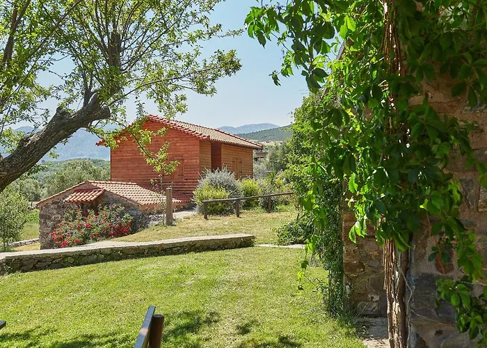 Authentic In A Heaven Of Natural Beauty Будинок відпочинку Ханья (Крит)