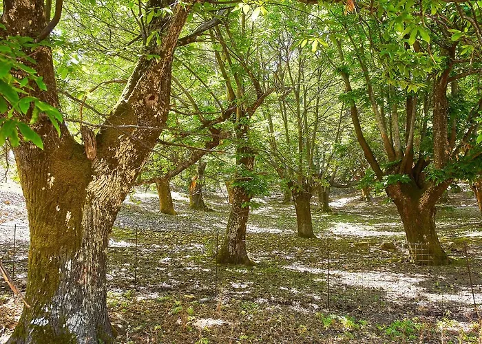 Будинок відпочинку Authentic In A Heaven Of Natural Beauty Ханья (Крит)